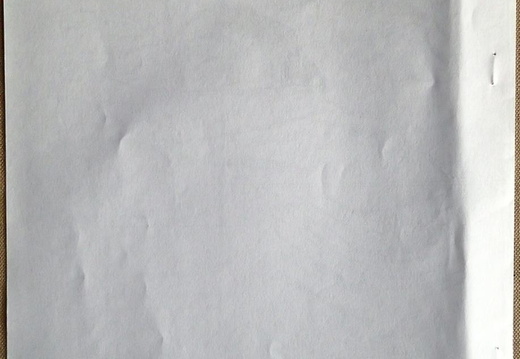 Page 08